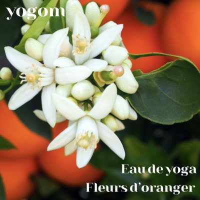 Eau nettoyante de yoga Fleurs d'oranger Yogom